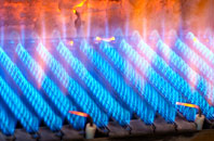 Brenzett gas fired boilers